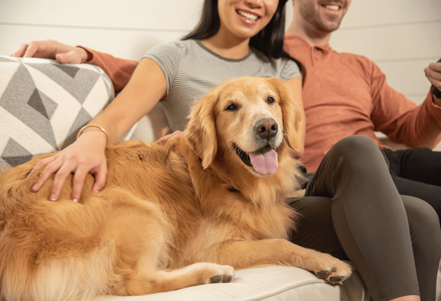 homepage dog-Featured-content