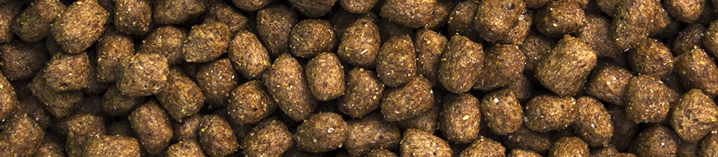 When To Switch From Puppy To Adult Dog Food