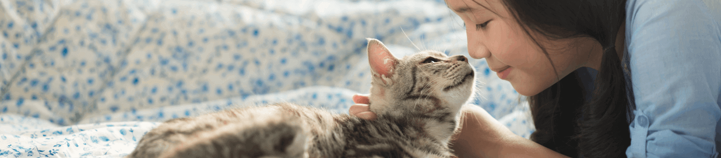 cat article detail banner