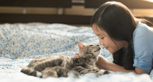 cat article detail banner
