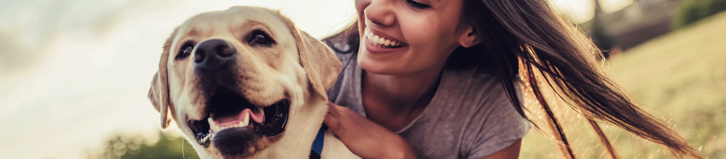 A Comprehensive Guide to Canine Weight Loss