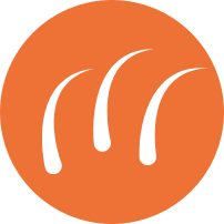 LIGHT SHEDDING icon