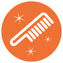 SHINY icon