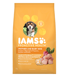 DRY DOG FOOD