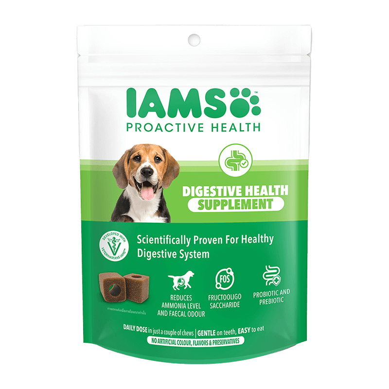 Digestive Health Supplement