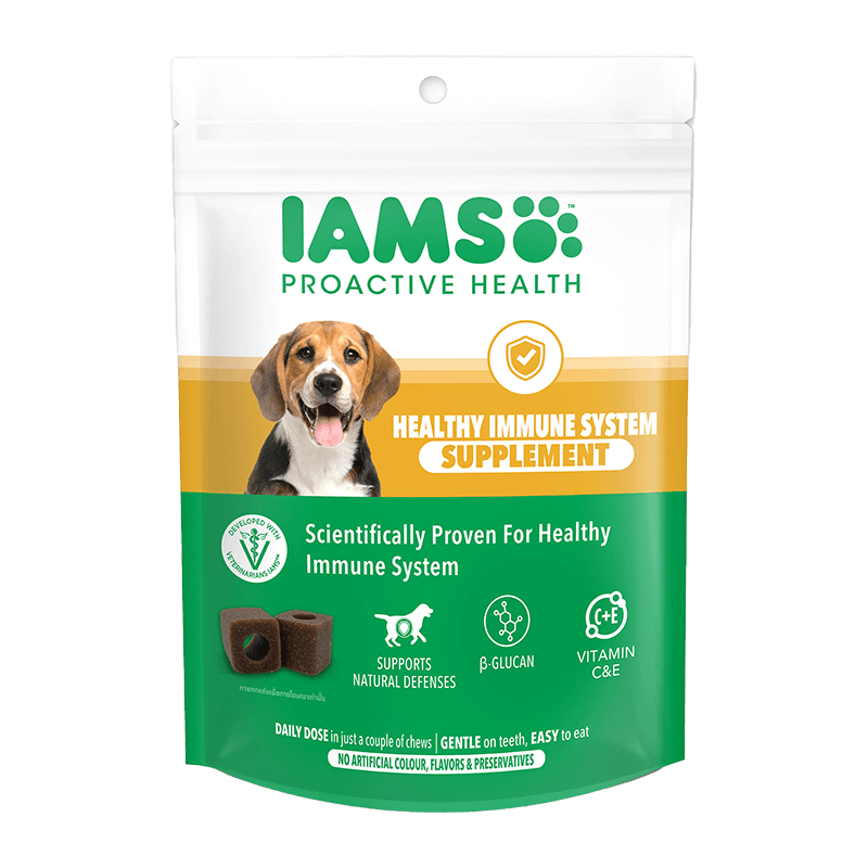 Healthy Immune System Supplement