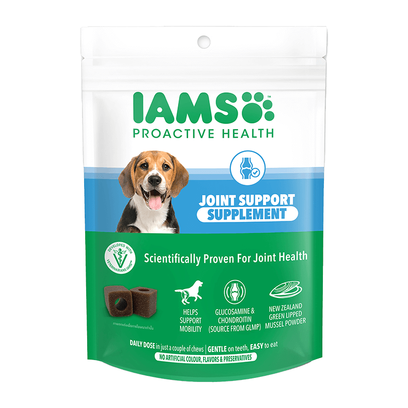 Joint Support Supplement