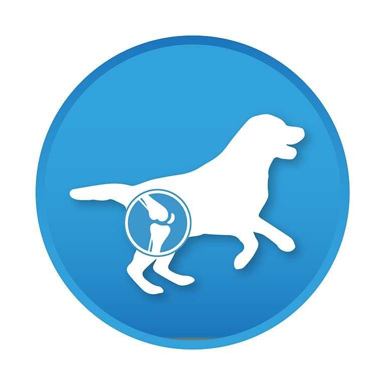 <p><strong>HELPS SUPPORT MOBILITY</strong><br>Allows dog to remain active</p>